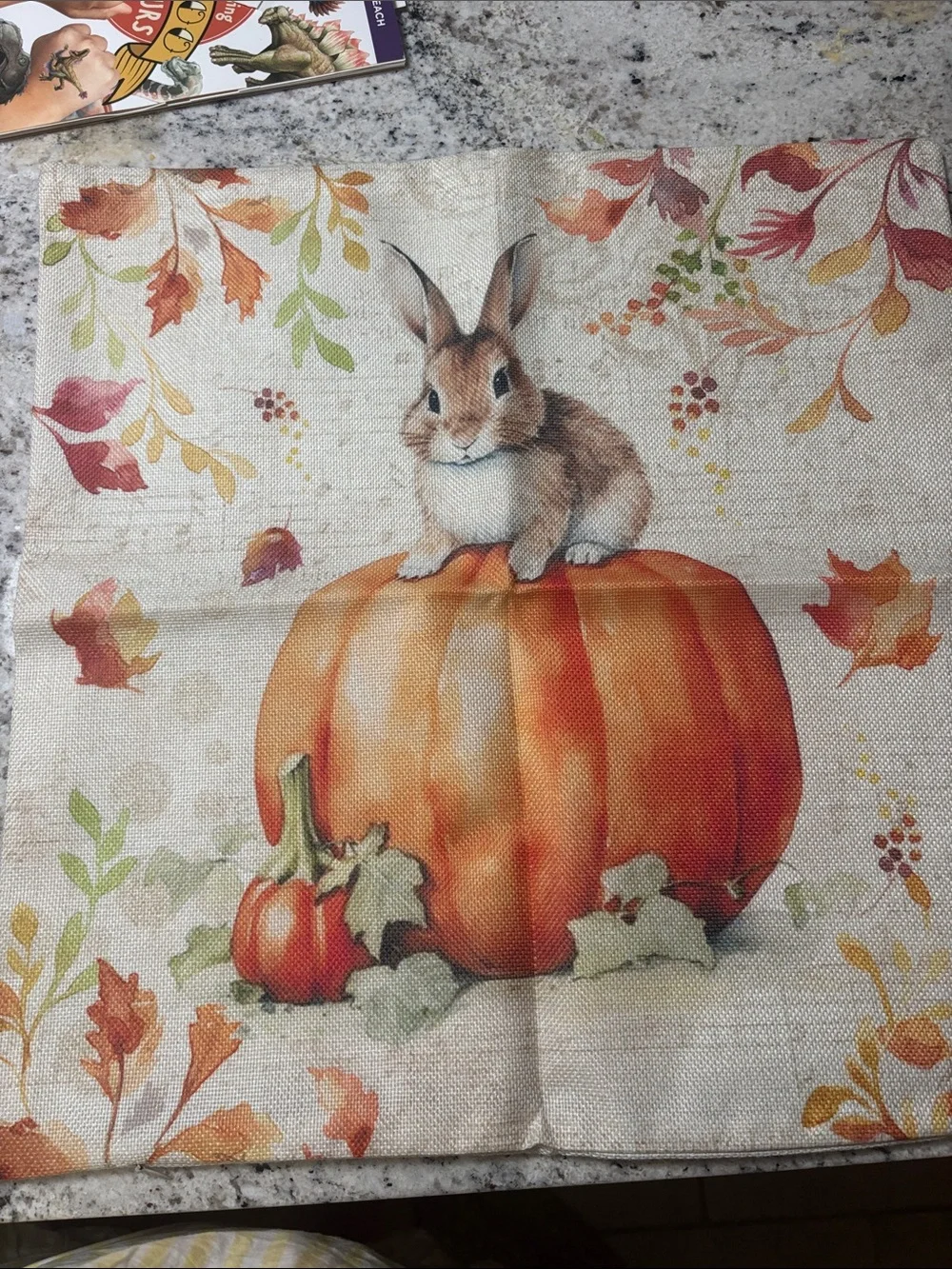 Autumn Bunny on Pumpkin Decorative Pillow